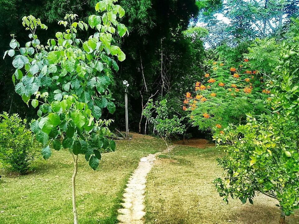 Pousada Orquideas Da Canastra Vargem Bonita Dış mekan fotoğraf